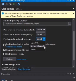 VS2019 Cryptographic Network Provder