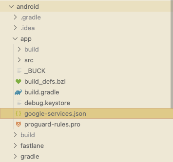 Google services file