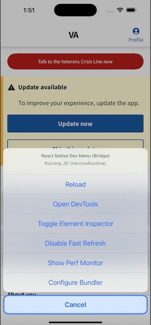 IOS Debug Menu